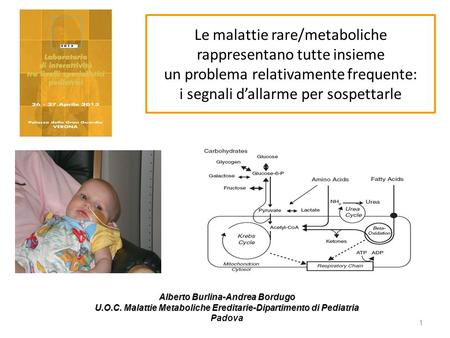 Le malattie rare/metaboliche rappresentano tutte insieme un problema relativamente frequente: i segnali d’allarme per sospettarle Alberto Burlina-Andrea.