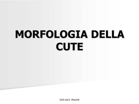 MORFOLOGIA DELLA CUTE Dott.ssa E. Muccioli.