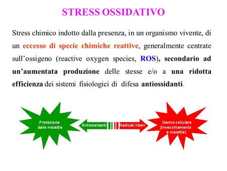 STRESS OSSIDATIVO Stress chimico indotto dalla presenza, in un organismo vivente, di un eccesso di specie chimiche reattive, generalmente centrate sull’ossigeno.