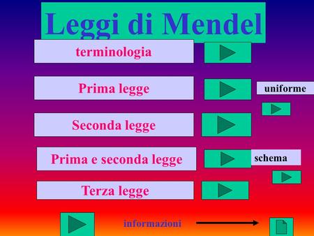 Leggi di Mendel terminologia Prima legge Seconda legge