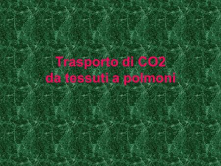 Trasporto di CO2 da tessuti a polmoni