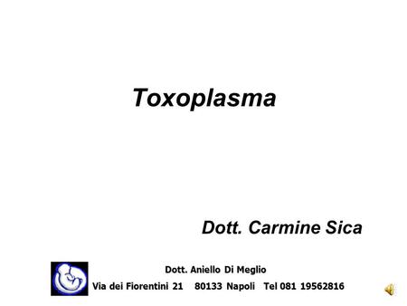 Toxoplasma Dott. Carmine Sica Dott. Aniello Di Meglio