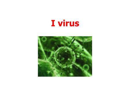 I virus 1.