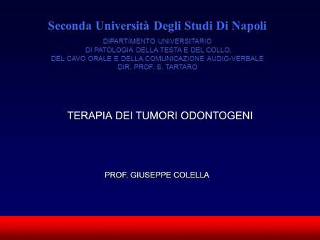 Seconda Università Degli Studi Di Napoli