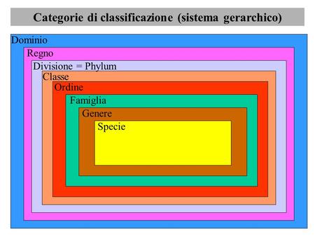 Categorie di classificazione (sistema gerarchico)