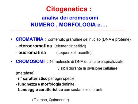 Citogenetica : analisi dei cromosomi NUMERO , MORFOLOGIA e….