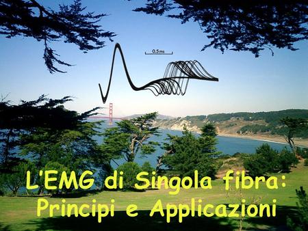 L’EMG di Singola fibra: Principi e Applicazioni