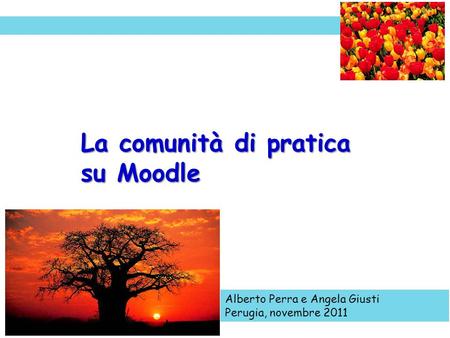 La comunità di pratica su Moodle Alberto Perra e Angela Giusti