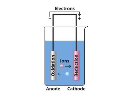 Cella elettrochimica nel metallo si muovono gli elettroni