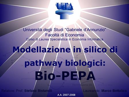 Università degli Studi Gabriele dAnnunzio Facoltà di Economia Corso di Laurea Specialistica in Economia Informatica Modellazione in silico di pathway biologici: