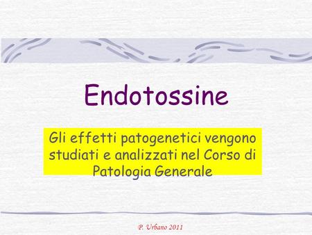 Endotossine Gli effetti patogenetici vengono studiati e analizzati nel Corso di Patologia Generale.