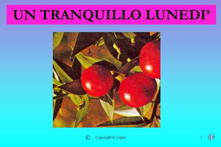 UN TRANQUILLO LUNEDI’ © Copyright G. Lepre.