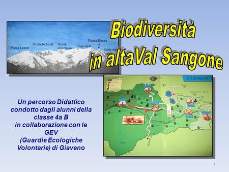 Biodiversità in altaVal Sangone