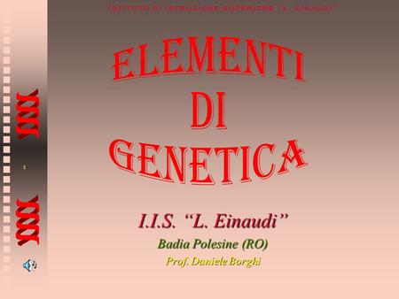 I.I.S. “L. Einaudi” Badia Polesine (RO) Prof. Daniele Borghi