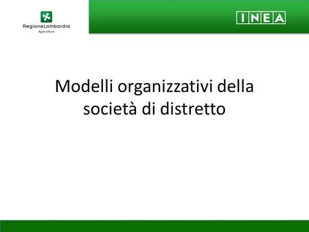 Modelli organizzativi della società di distretto