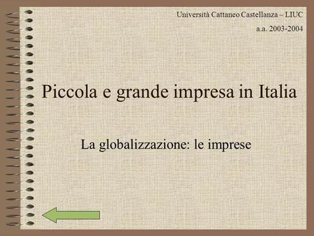 Piccola e grande impresa in Italia La globalizzazione: le imprese Università Cattaneo Castellanza – LIUC a.a. 2003-2004.