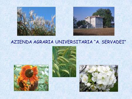 AZIENDA AGRARIA UNIVERSITARIA “A. SERVADEI”
