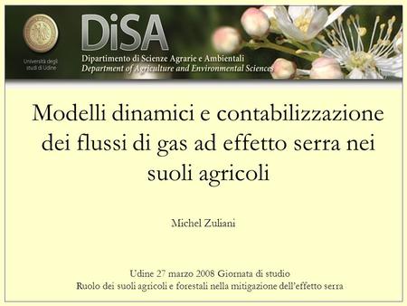 Modelli dinamici e contabilizzazione dei flussi di gas ad effetto serra nei suoli agricoli Udine 27 marzo 2008 Giornata di studio Ruolo dei suoli agricoli.