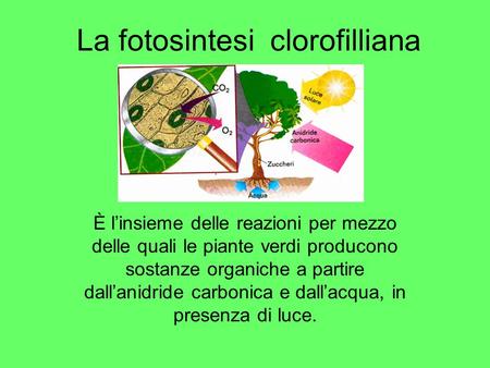 La fotosintesi clorofilliana