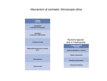 Meccanismi di contrasto: Microscopia ottica