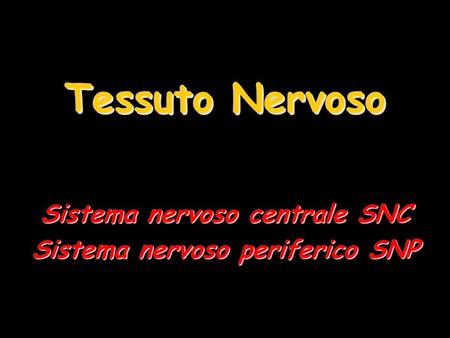 Sistema nervoso centrale SNC Sistema nervoso periferico SNP