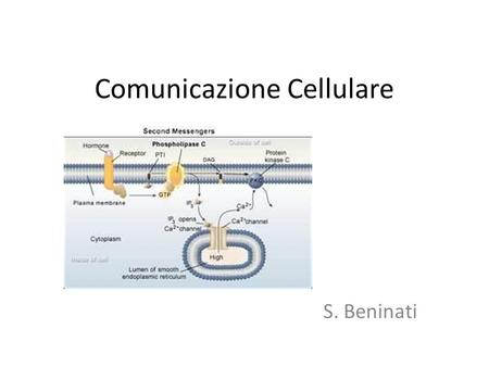 Comunicazione Cellulare