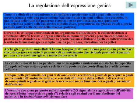 La regolazione dell’espressione genica