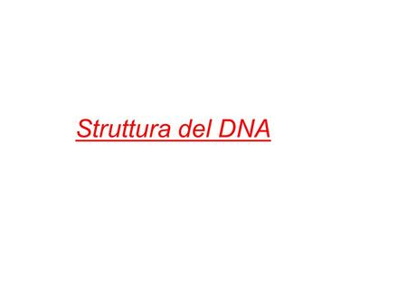 Struttura del DNA.