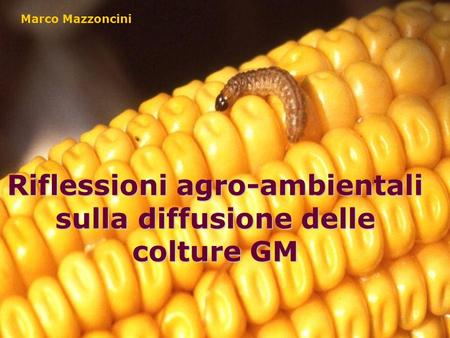 Riflessioni agro-ambientali sulla diffusione delle colture GM Marco Mazzoncini.