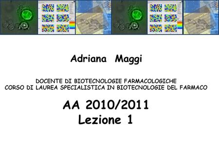 AA 2010/2011 Lezione 1 Adriana Maggi
