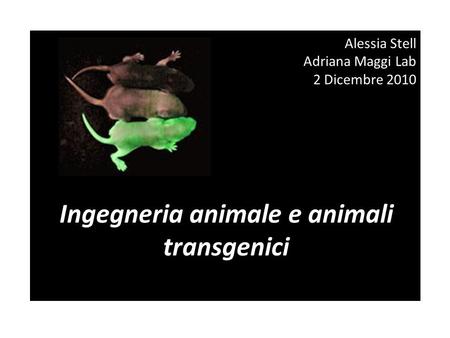 Ingegneria animale e animali transgenici