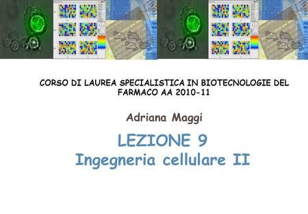 LEZIONE 9 Ingegneria cellulare II