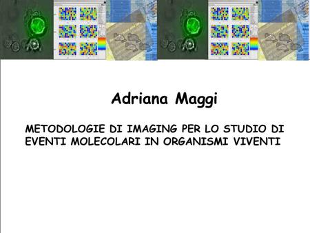 Adriana Maggi METODOLOGIE DI IMAGING PER LO STUDIO DI
