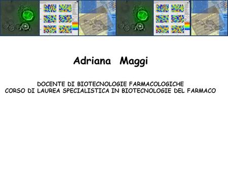Adriana Maggi DOCENTE DI BIOTECNOLOGIE FARMACOLOGICHE