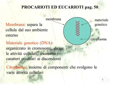 1 PROCARIOTI ED EUCARIOTI pag. 50 membrana materiale genetico citoplasma Membrana: separa la cellula dal suo ambiente esterno Materiale genetico (DNA):