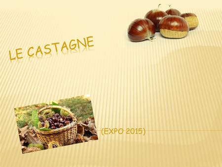 (EXPO 2015). 100 grammi di castagne (parte edibile) forniscono 81 mg di fosforo, 30 mg di calcio, 0,9 mg di ferro e 395 mg di potassio.