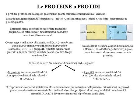 Le PROTEINE o PROTIDI I protidi o proteine sono composti quaternari in quanto formati essenzialmente da 4 elementi: C (carbonio), H (idrogeno), O (ossigeno)