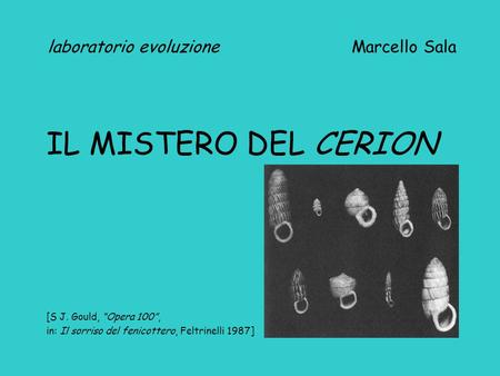Laboratorio evoluzione Marcello Sala IL MISTERO DEL CERION [S J. Gould, “Opera 100”, in: Il sorriso del fenicottero, Feltrinelli 1987]
