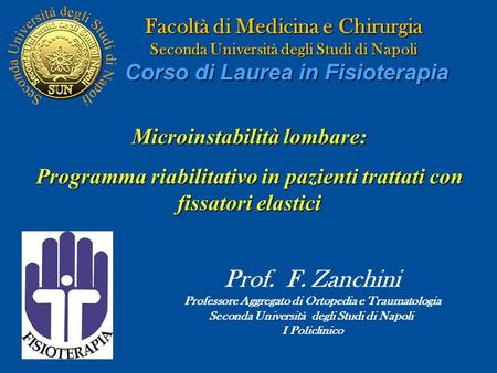 Facoltà di Medicina e Chirurgia Seconda Università degli Studi di Napoli Corso di Laurea in Fisioterapia Microinstabilità lombare: Programma riabilitativo.