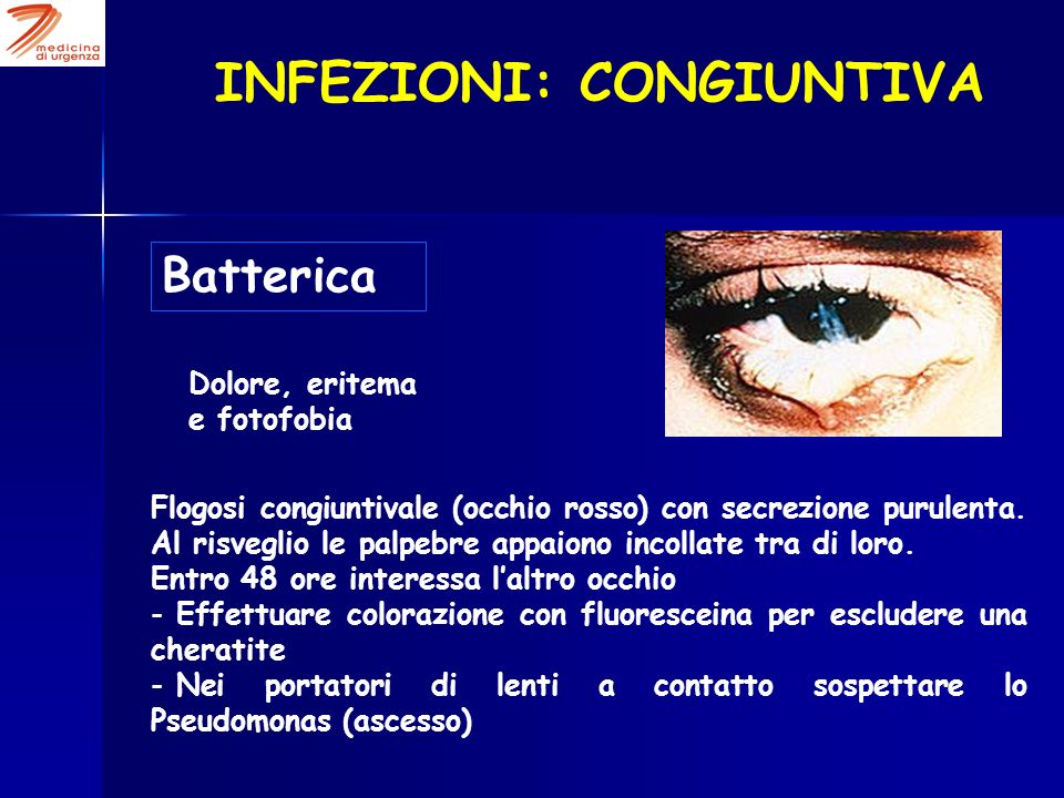 Digsilent Ieee Bus System - pdfsdocuments2com