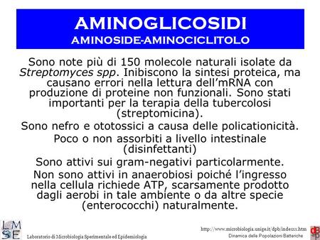 AMINOGLICOSIDI AMINOSIDE-AMINOCICLITOLO