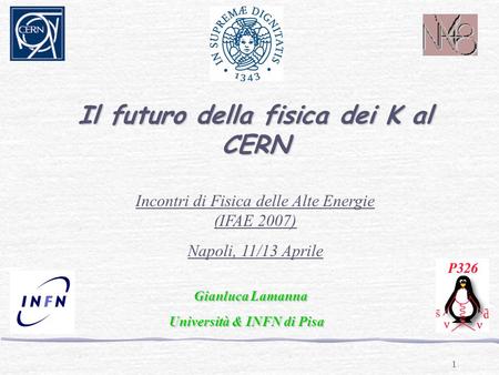 1 Il futuro della fisica dei K al CERN Incontri di Fisica delle Alte Energie (IFAE 2007) Napoli, 11/13 Aprile Gianluca Lamanna Università & INFN di Pisa.