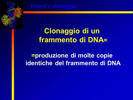 =produzione di molte copie identiche del frammento di DNA