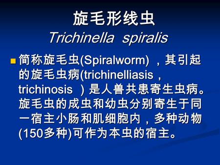 旋毛形线虫 Trichinella spiralis