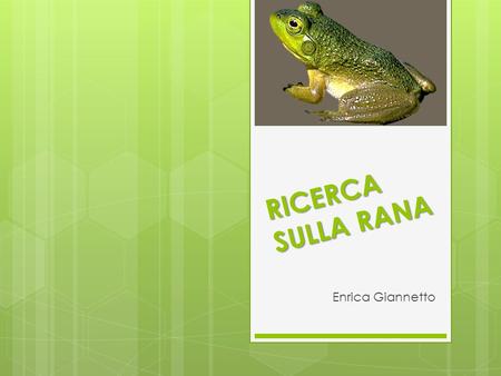 RICERCA SULLA RANA Enrica Giannetto.