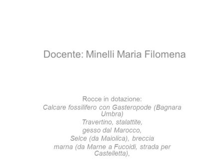 Docente: Minelli Maria Filomena
