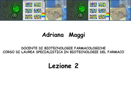 Adriana Maggi DOCENTE DI BIOTECNOLOGIE FARMACOLOGICHE CORSO DI LAUREA SPECIALISTICA IN BIOTECNOLOGIE DEL FARMACO Lezione 2.