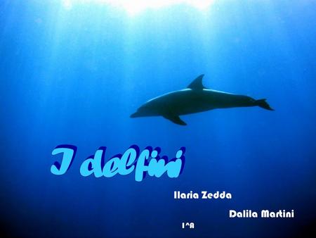 I delfini Ilaria Zedda Dalila Martini 1^A.