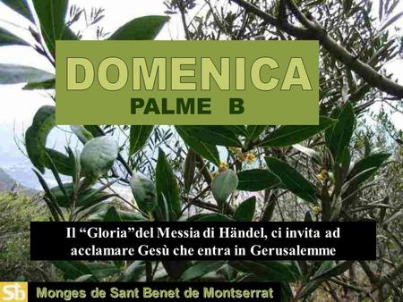 Monges de Sant Benet de Montserrat PALME B Il “Gloria”del Messia di Händel, ci invita ad acclamare Gesù che entra in Gerusalemme.