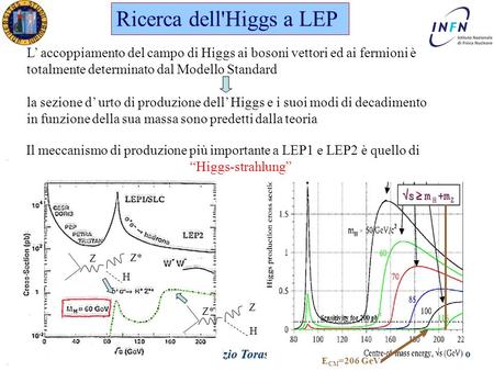Dottorato in Fisica XX Ciclo Padova 1 Giugno 2005 Ezio Torassa Ricerca dell'Higgs a LEP L’ accoppiamento del campo di Higgs ai bosoni vettori ed ai fermioni.